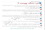از بیماری تب دانگ چه خبر؟